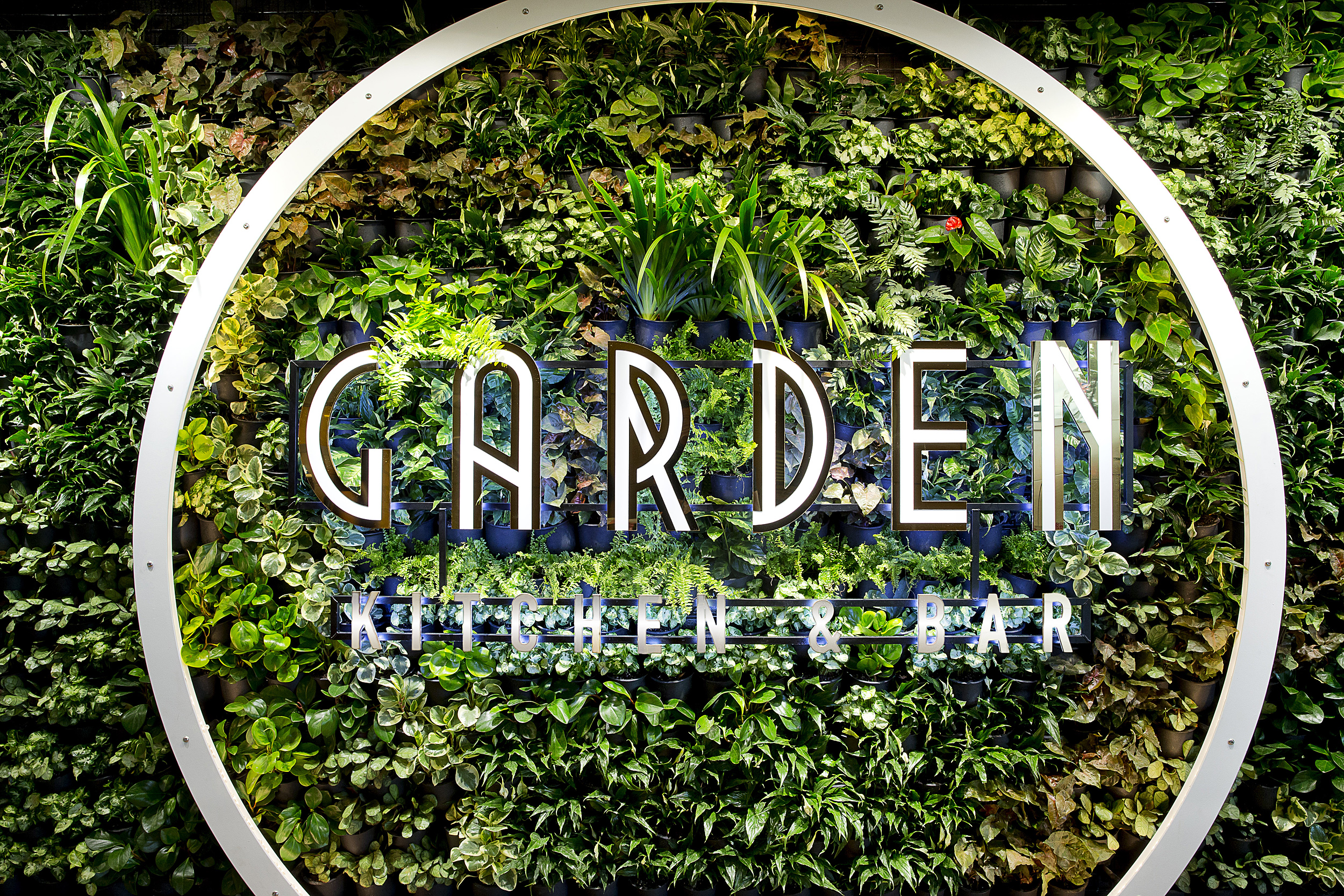 Garden Kitchen & Bar - feature wall